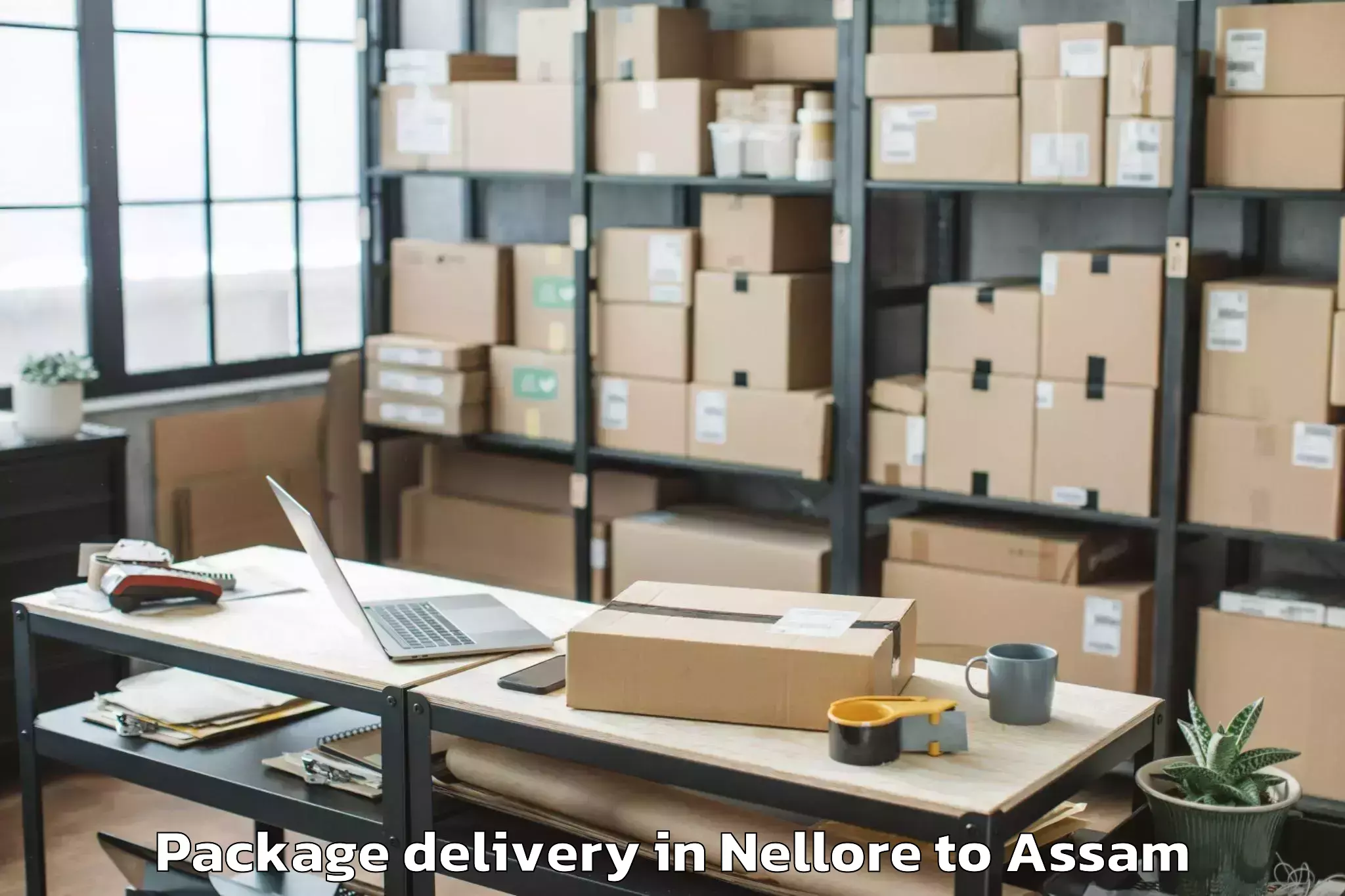 Book Nellore to Lumding Package Delivery Online